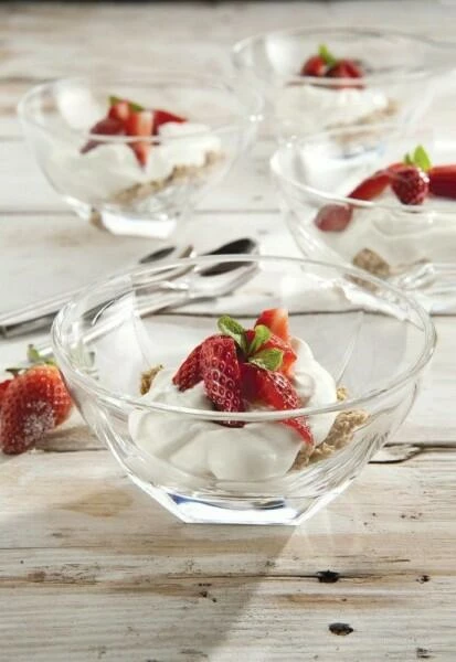 RCR Schüssel Fusion – Bild 5